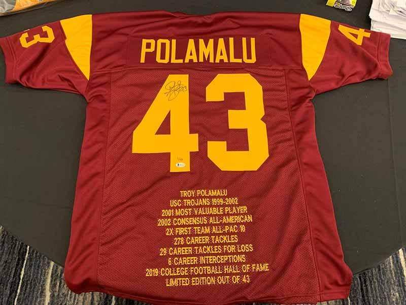 troy polamalu signed jersey