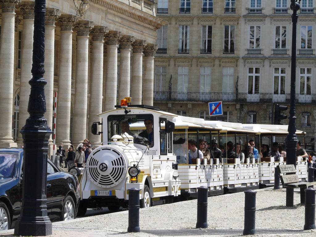 Mini Train Ride Bordeaux with Family