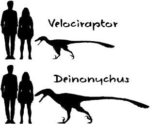 Vélociraptor