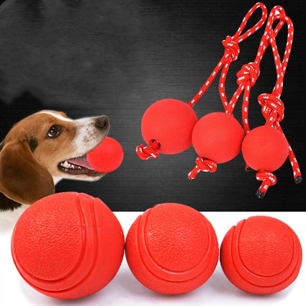 large dog ball toys