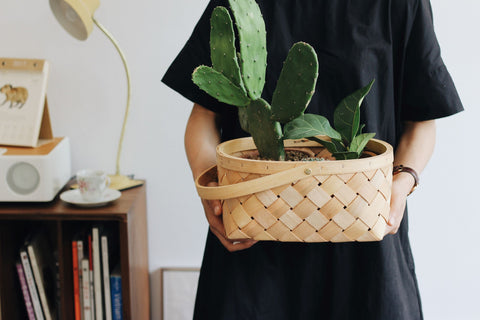 Potted cactus plant gift eco bamboo basket