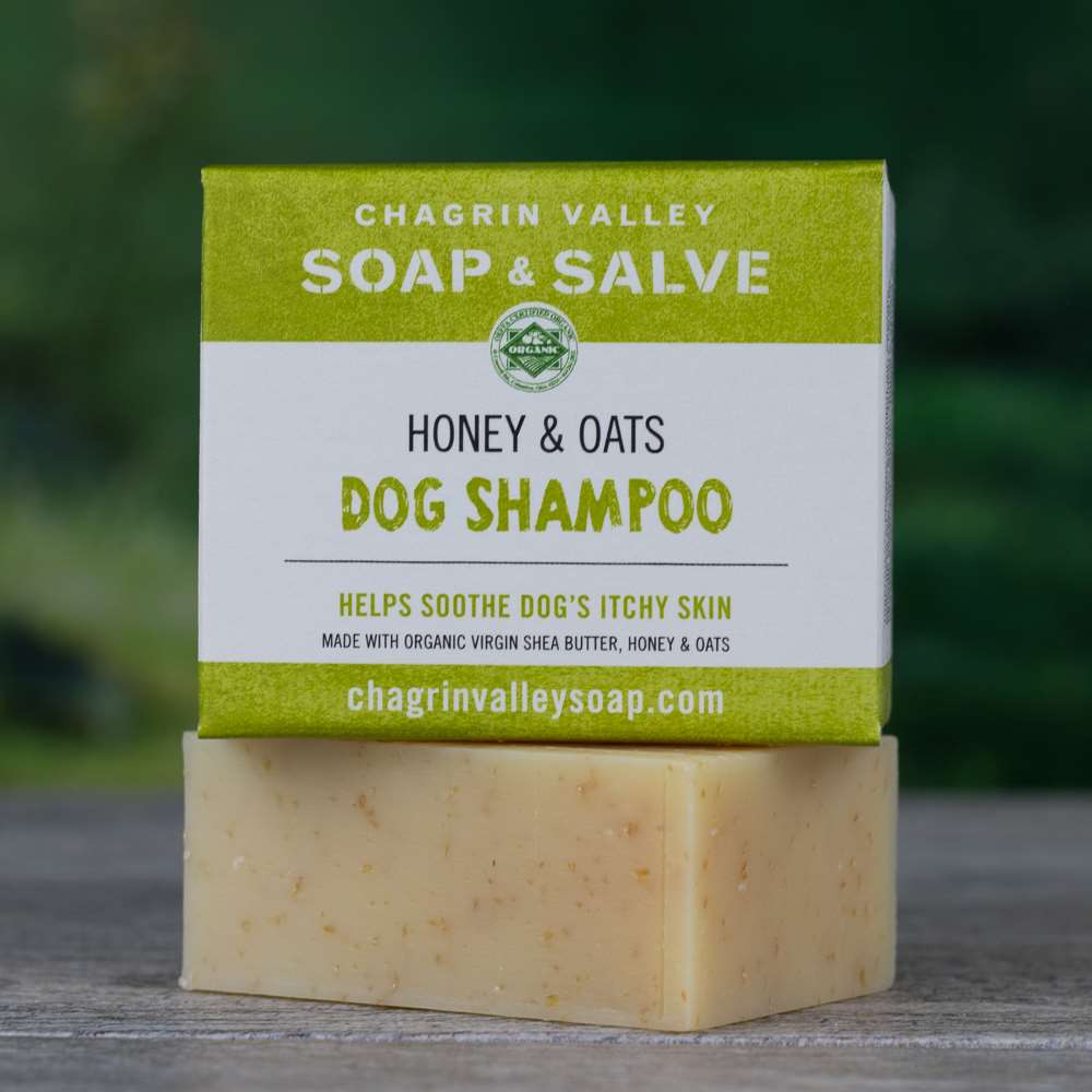 Organic 100% Natural Pet Care - Honey Dog Shampoo Bar – Biocasa