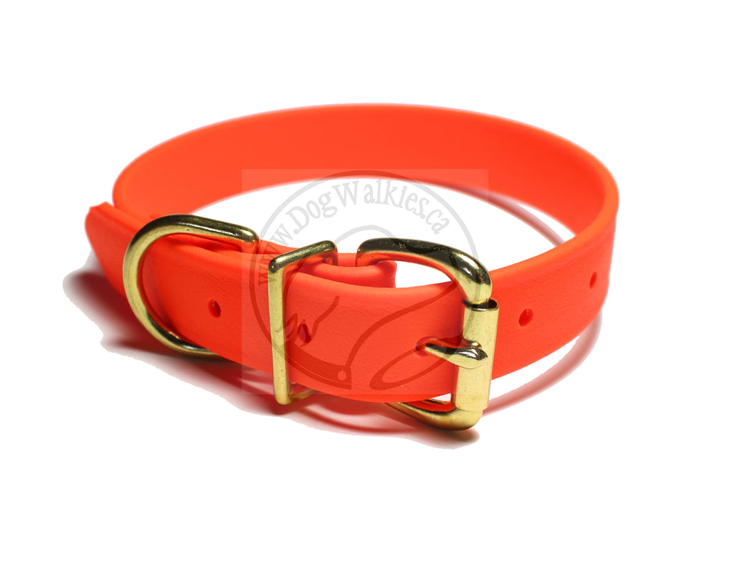 Educator Biothane Dog Collar, Waterproof, Odorproof, Metal Buckle and D  Ring, Adjustable for Custom Fit, Cool and Comfortable, for Small, Medium,  or