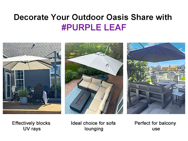 PURPLE-LEAF-Customer-Show°