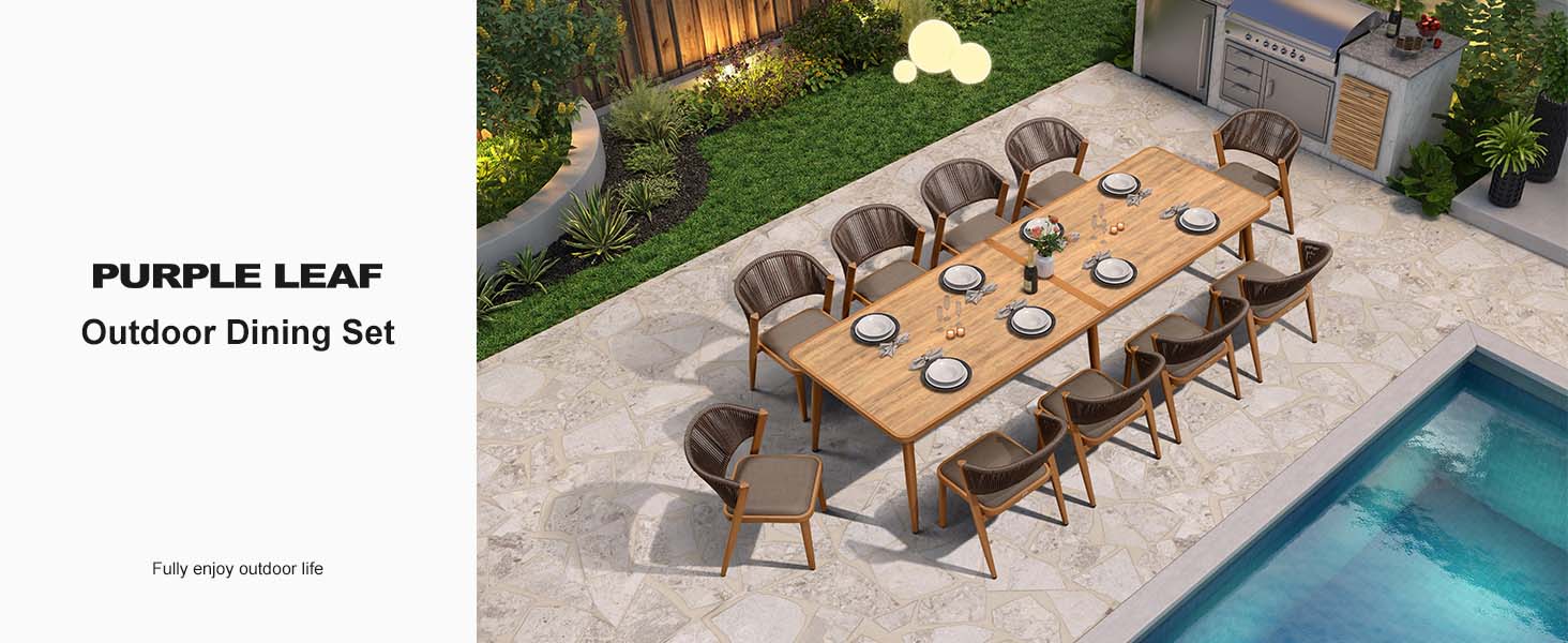 Purpleleaf gardon, patio dining set, 11 pieces, aluminum frame