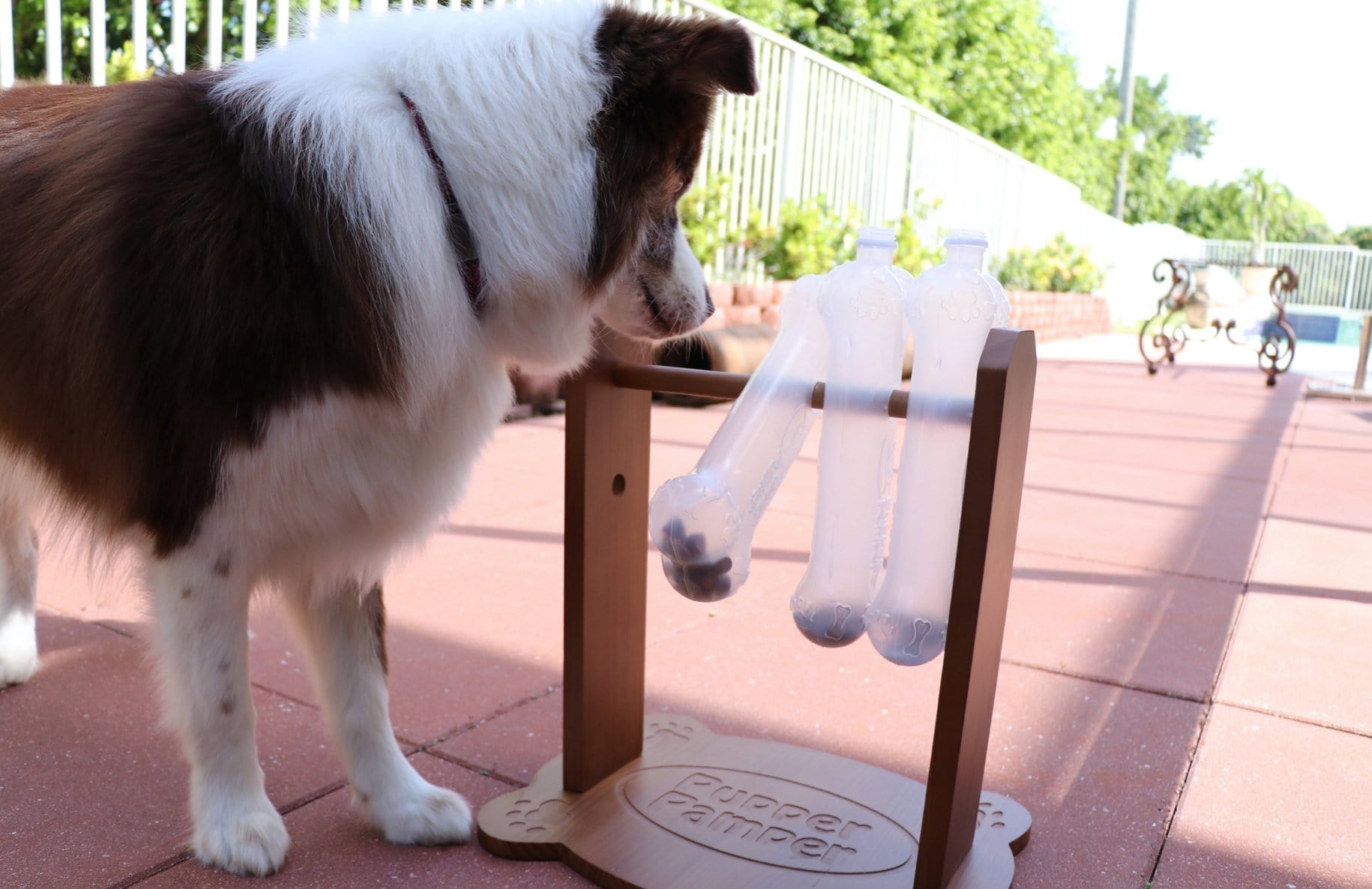 large dog puzzle toys