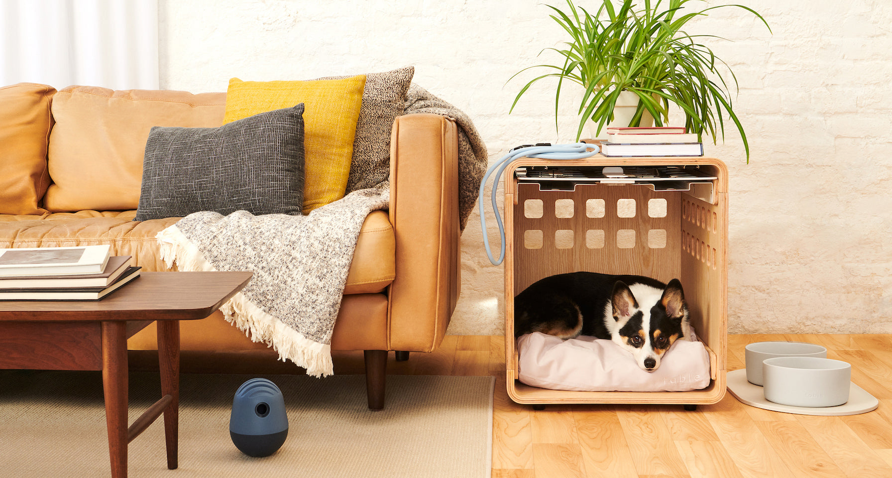 Fable  A Stylish Dog Crate & Furniture In One