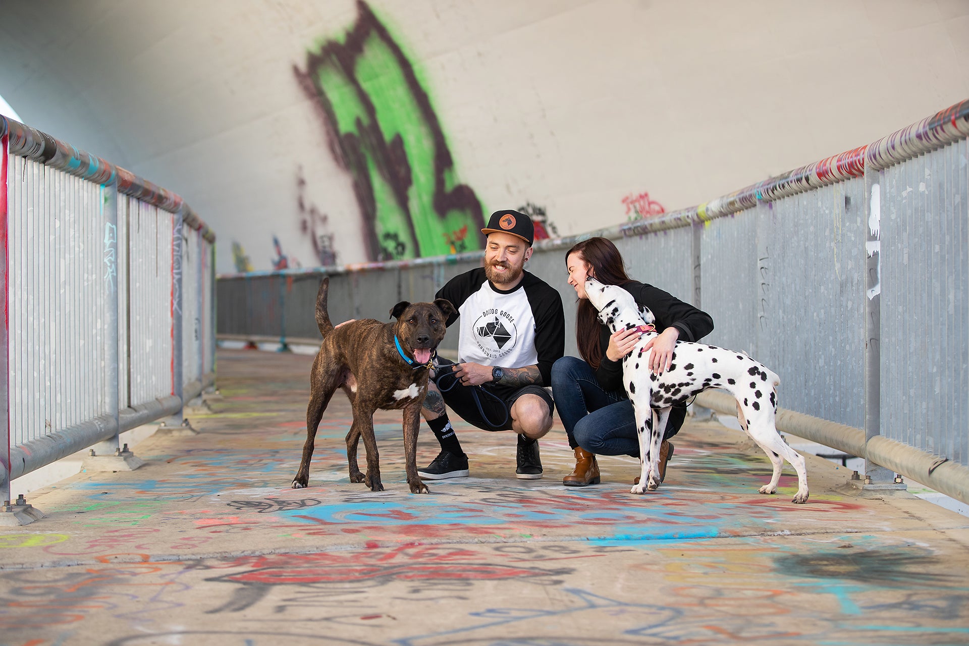 Man and woman crouching with two dogs - brindle mixed breed and Dalmatian.