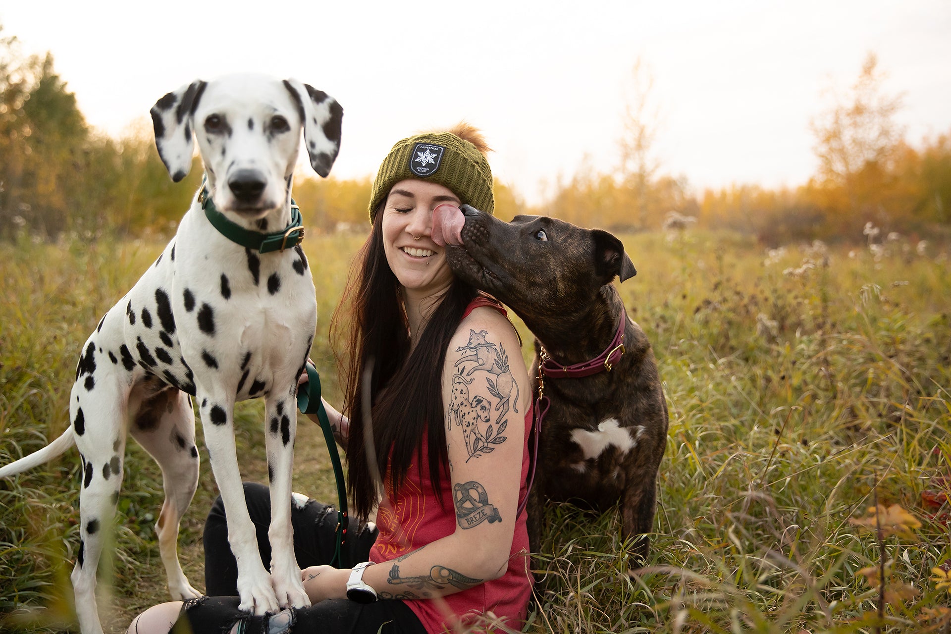 Woman seated in grassy field with her dogs - a Dalmatian and a brindle mixed breed.