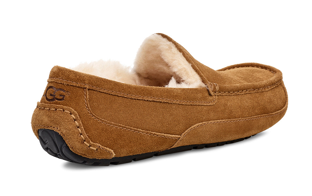 Ascot in Chestnut by UGG