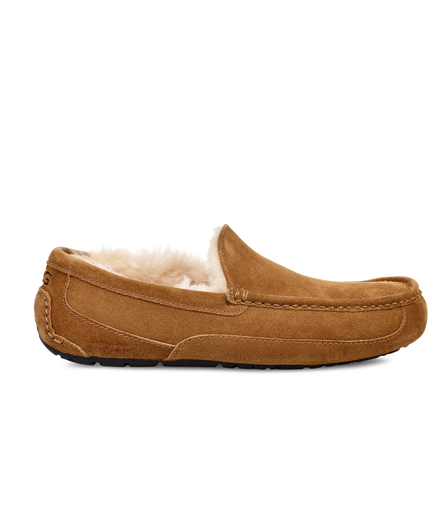 Ascot in Chestnut by UGG