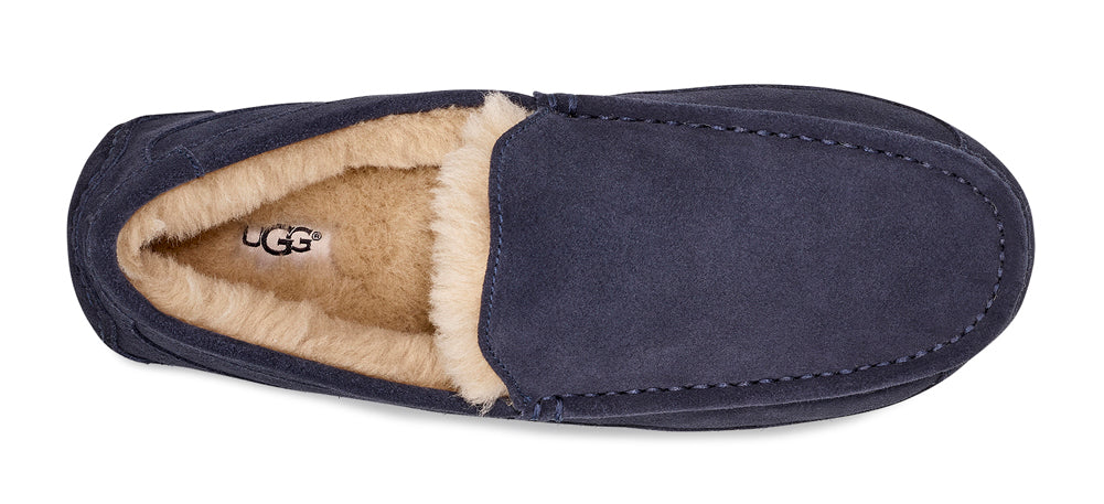 Ascot in True Navy by UGG