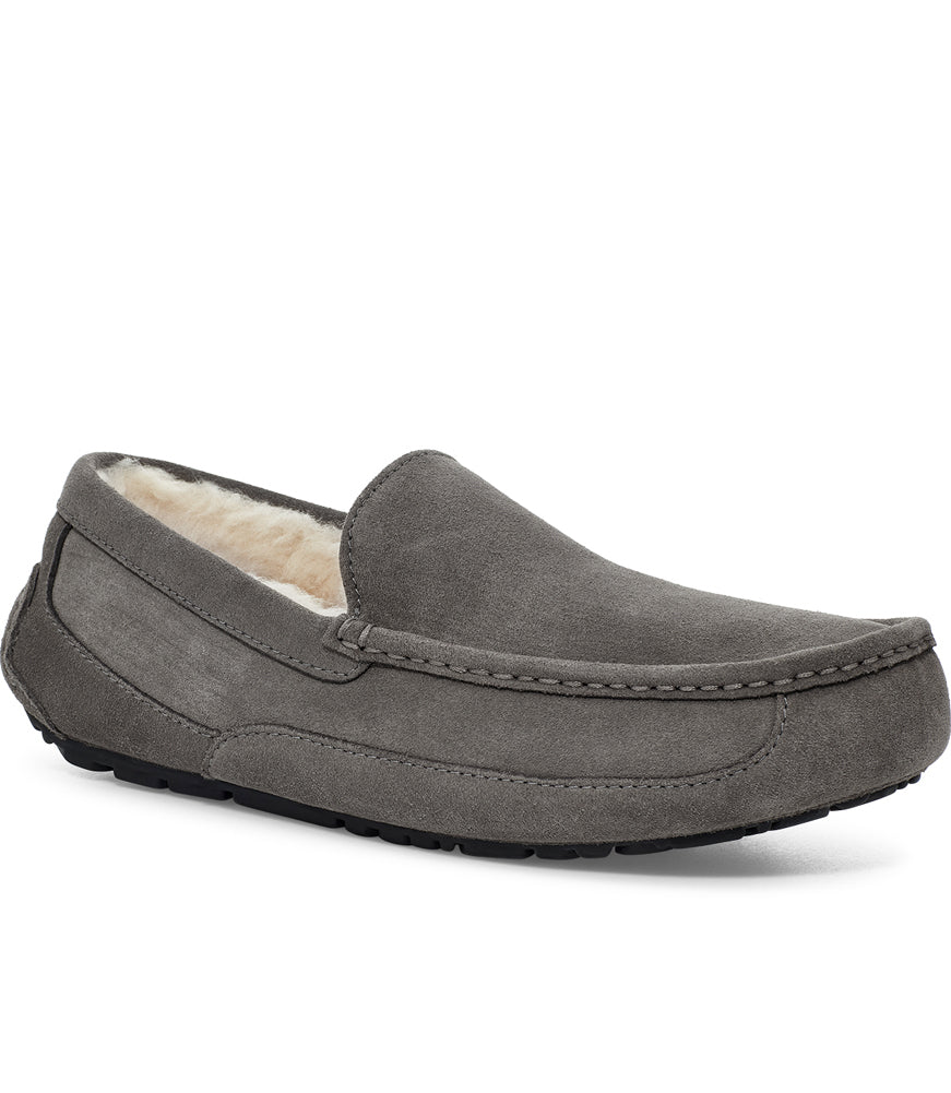 Ascot in Grey by UGG