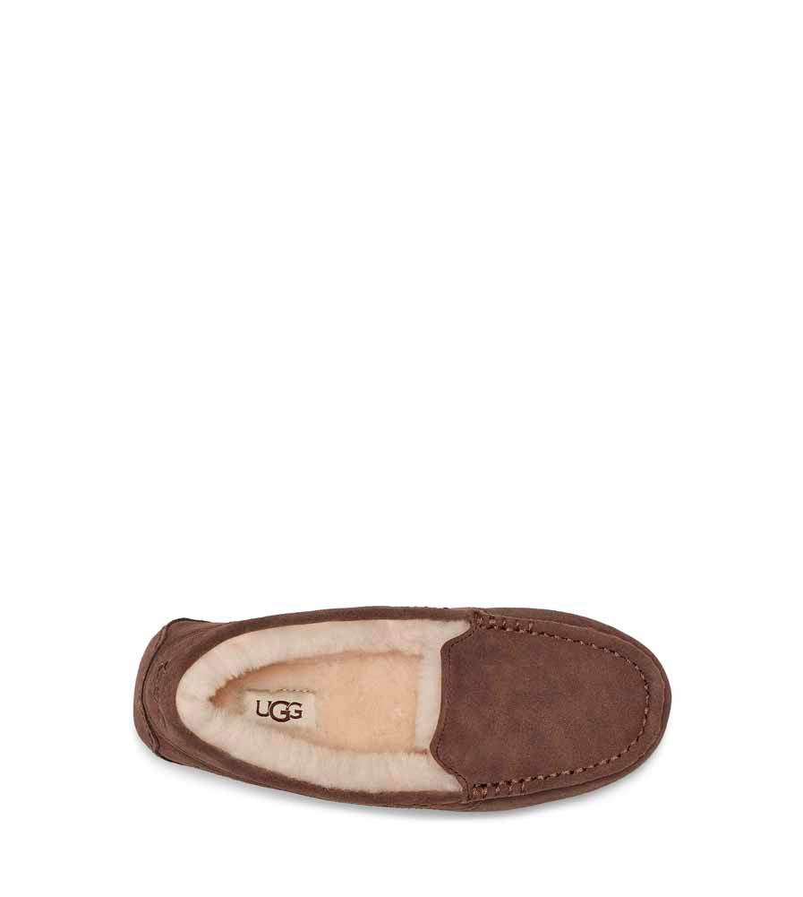 Ansley in Espresso by UGG