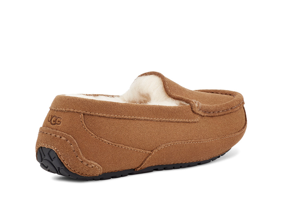 Ascot in Chestnut Suede by UGG