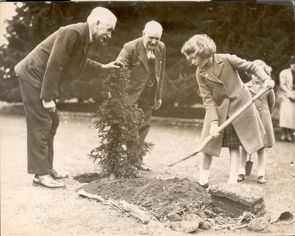 Princess Elizabeth Planting a Yew Tree