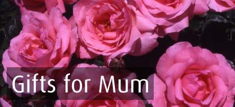 Gifts for Mum