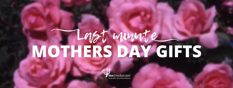 Last Minute Mothers Day Gifts