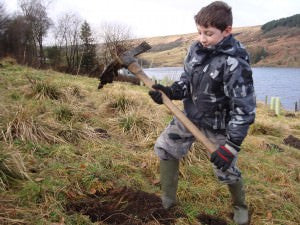 Preparing the ground for tree planting