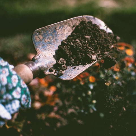 Prepping the Soil