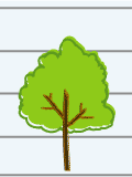 Moderate Sized Trees