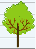 Vigorus Sized Trees