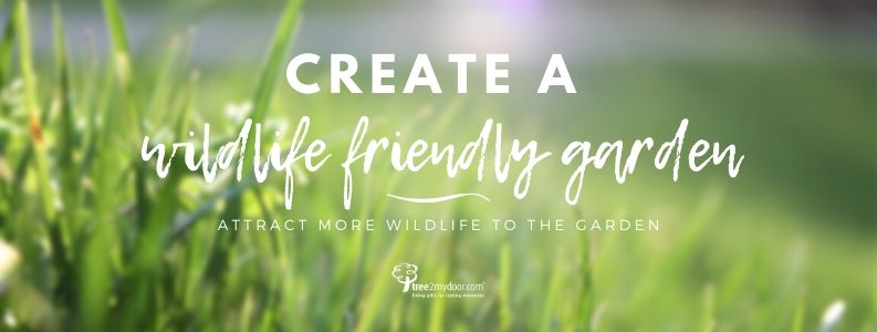 Wildlife Friendly Gardening