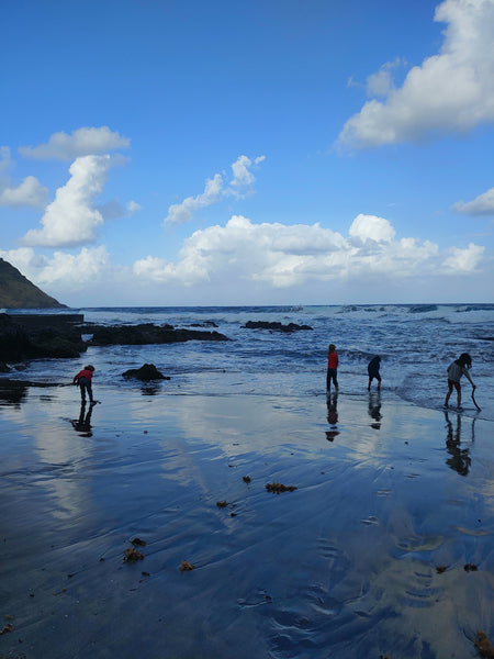 Baía de São Lourenço Santa Maria Açores