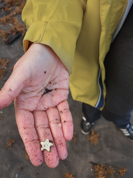 Beach combing Azores Neon Joyride Cleanup Event