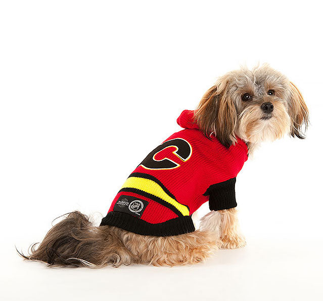 Calgary FLAMES NHL Dog Sweater – Togpetwear