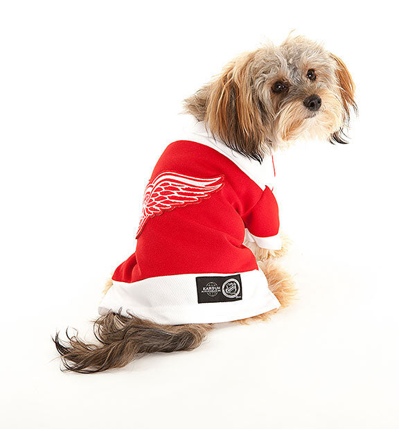 red wings dog jersey
