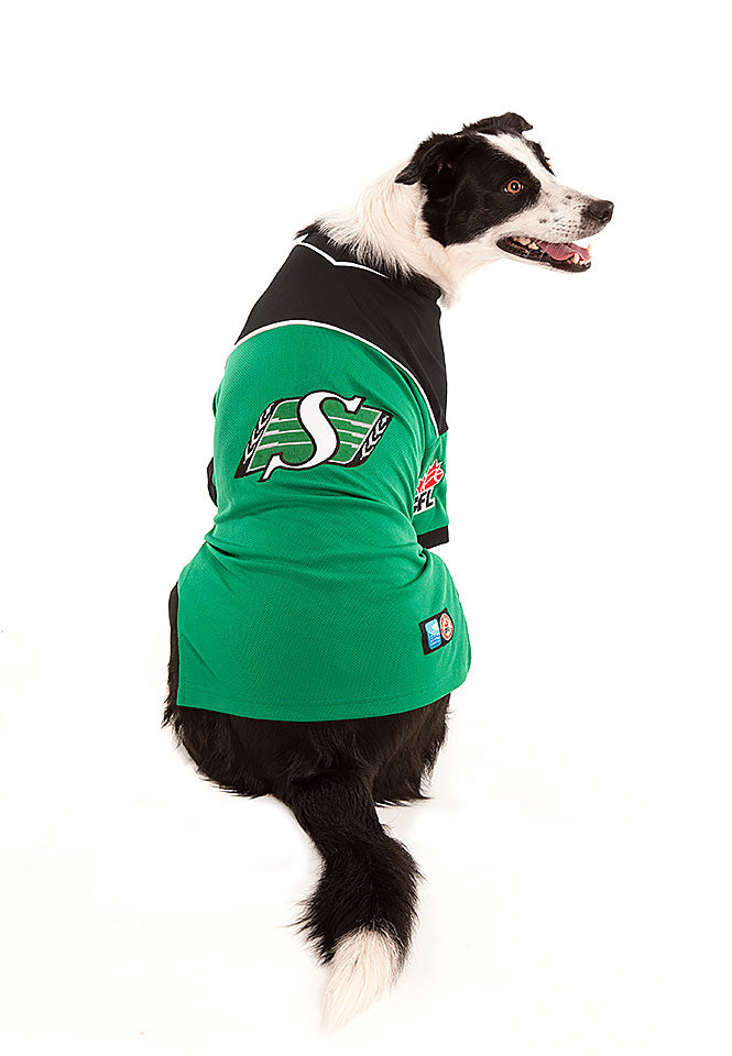 roughriders jersey