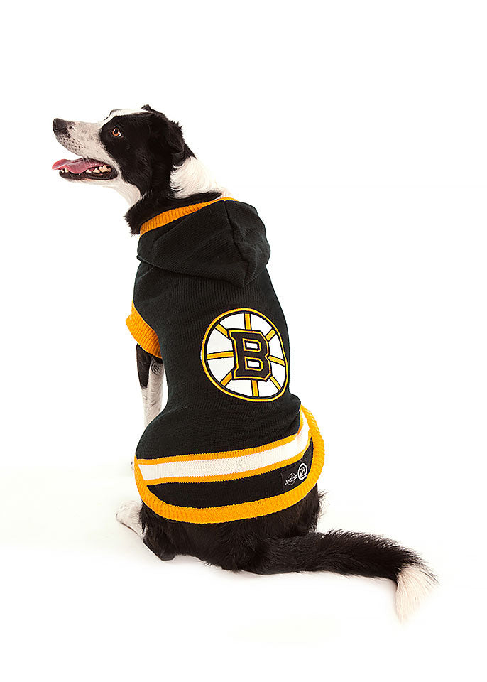 boston bruins dog jersey