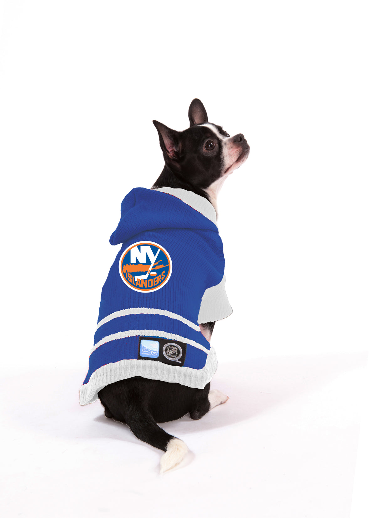 islanders dog jersey