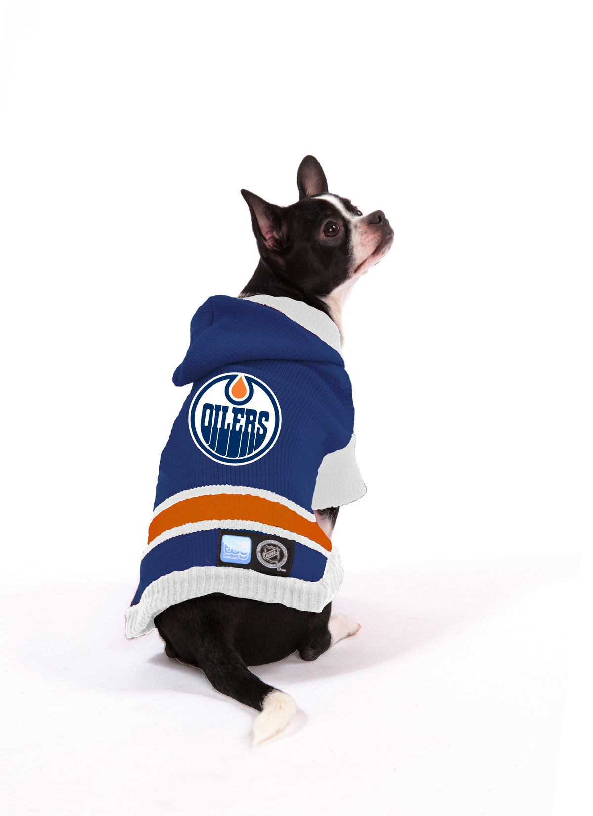 edmonton oilers dog jersey