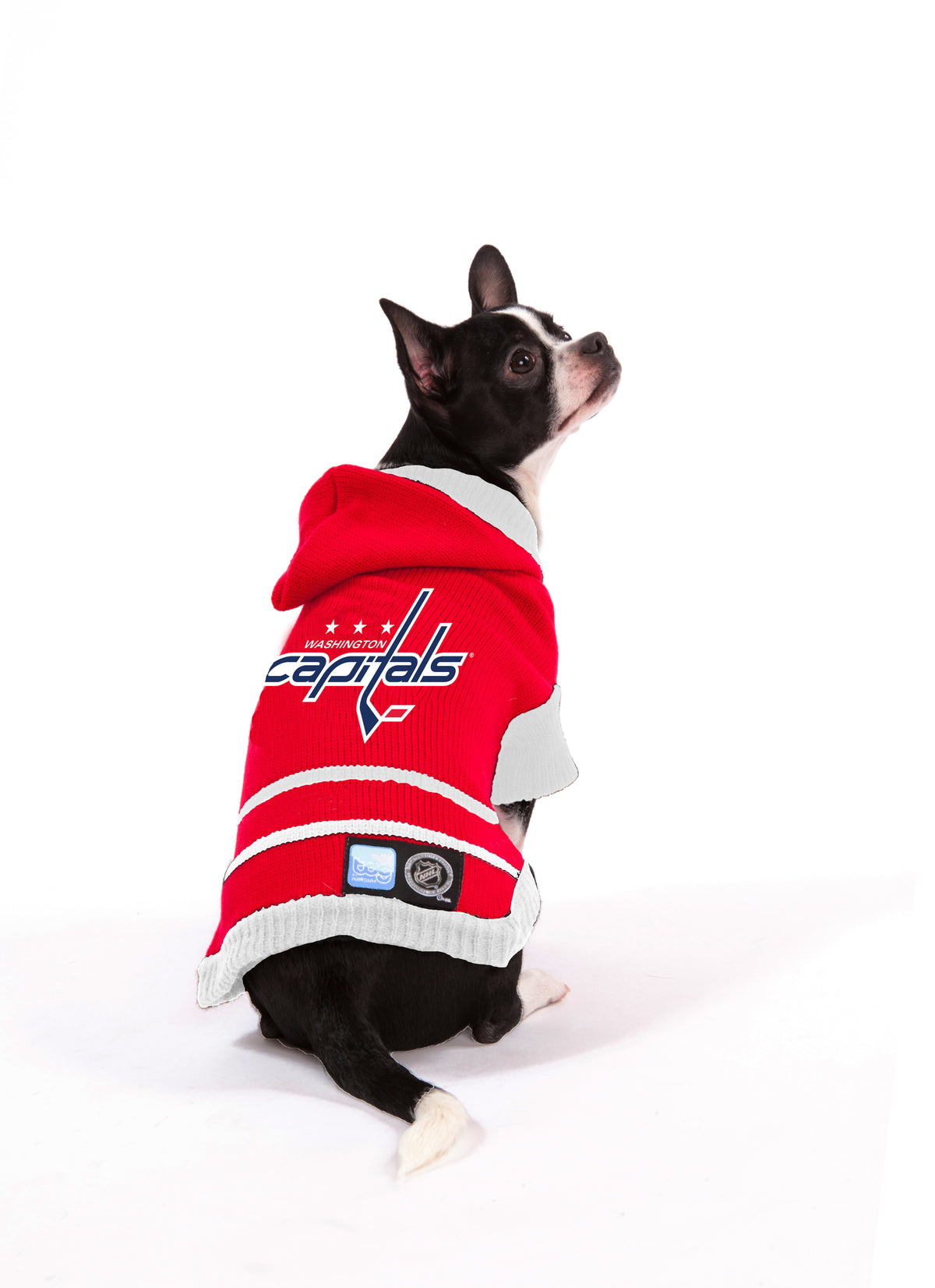 Washington CAPITALS NHL Dog Sweater 