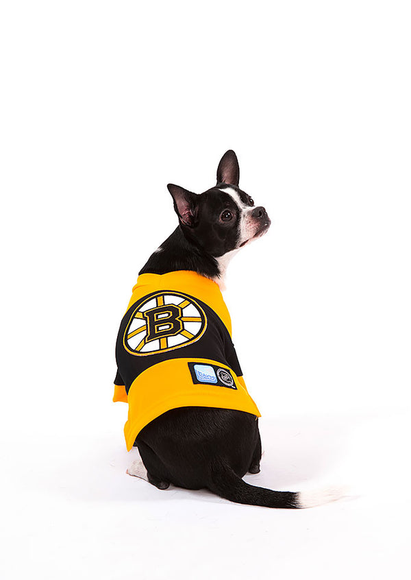 Boston BRUINS NHL Dog Sweater – Togpetwear