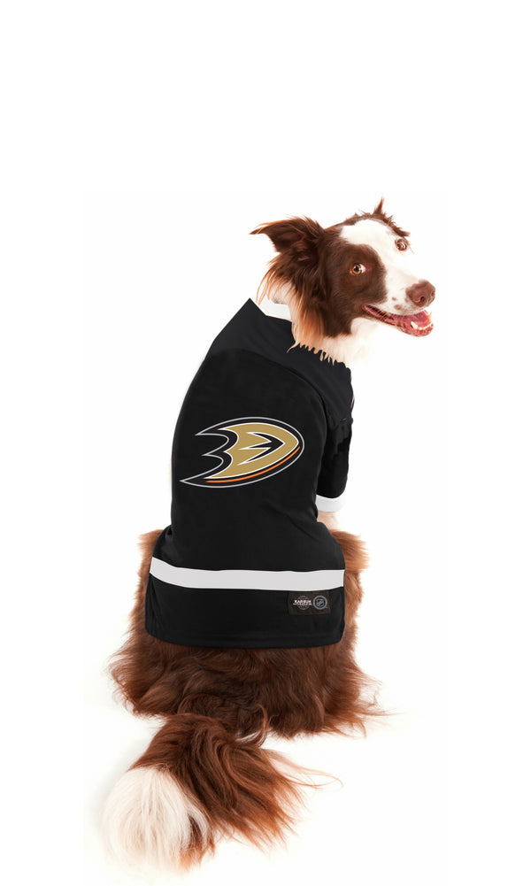 nhl jerseys for dogs