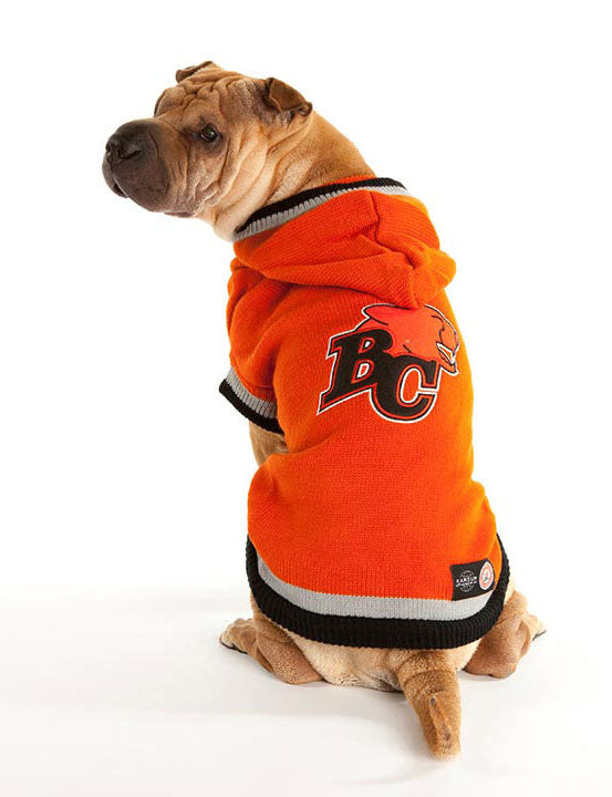 BC LIONS CFL Dog Sweater – Togpetwear