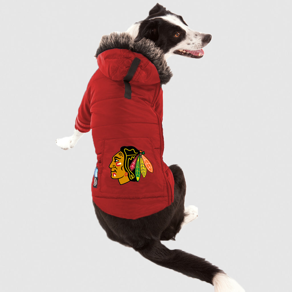 Tog Boston Bruins NHL Sweater for Dogs