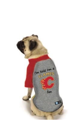 calgary flames dog jersey