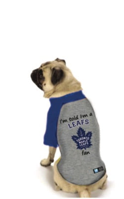 toronto maple leafs dog