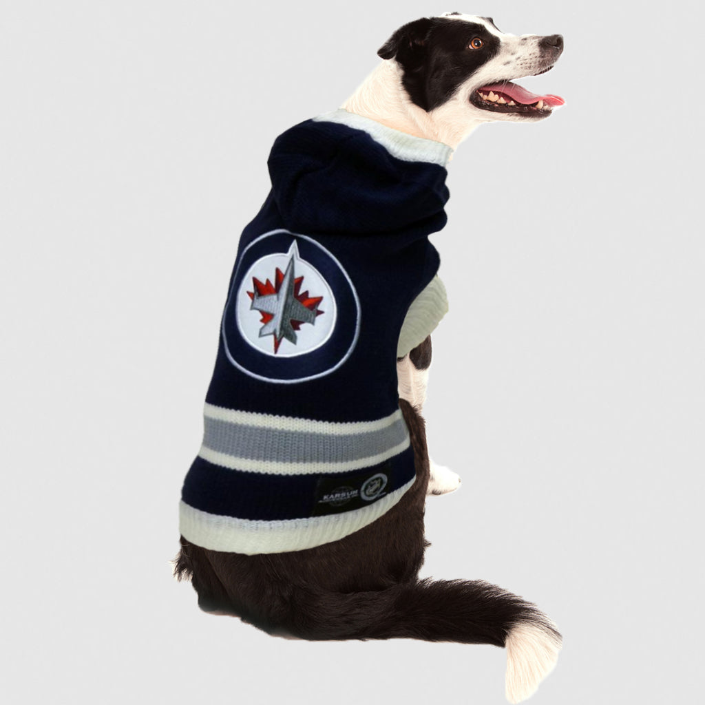 Winnipeg Jets NHL Dog Sweater-image-0