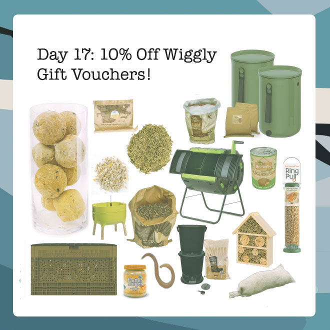 Wiggly Advent Calendar Day 17 Enjoy 10 Off Gift Vouchers The Perfe