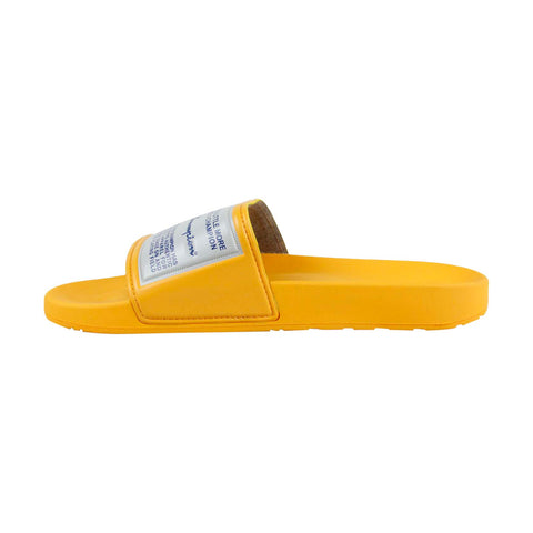 champion gold slides