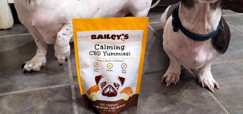 Bailey’s Calming CBD Dog Treats - Veterinarian-Formulated and Lab Tested
