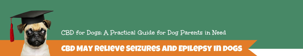 Learn about CBD and epilepsy in dogs here