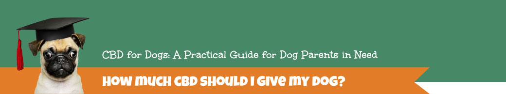 How much CBD should I be giving my pet?