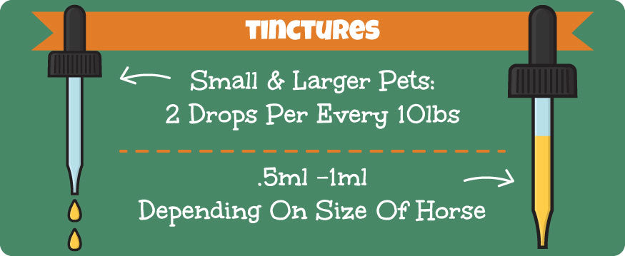 CBD oil dosage chart for dogs