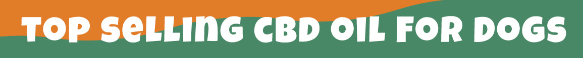 Top Selling CBD Oil For Dogs Sold Online - Bailey's CBD